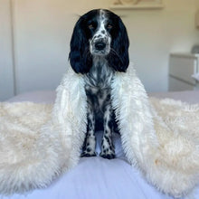 이미지를 갤러리 뷰어에 로드 , MrFluffyFriend - 푹신한 펫 담요