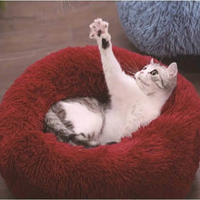 이미지를 갤러리 뷰어에 로드 , Cat bed in red color