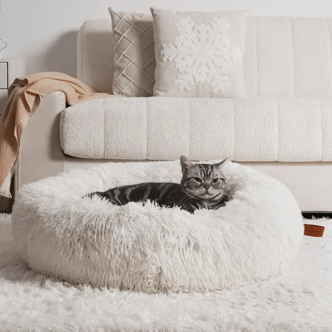 Cat bed in pearl white color