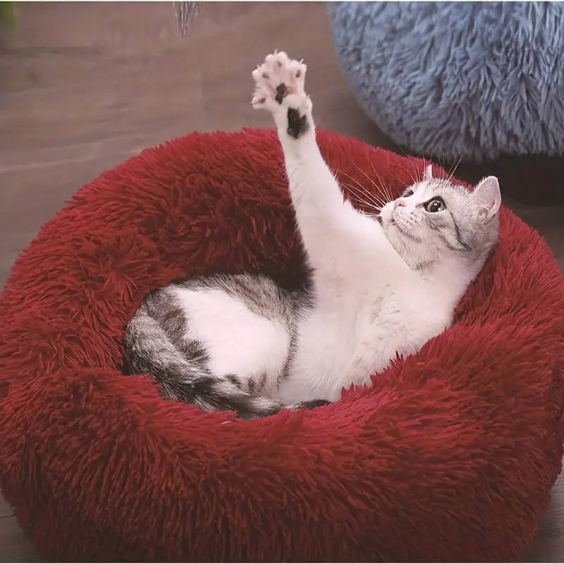 Cat bed in red color